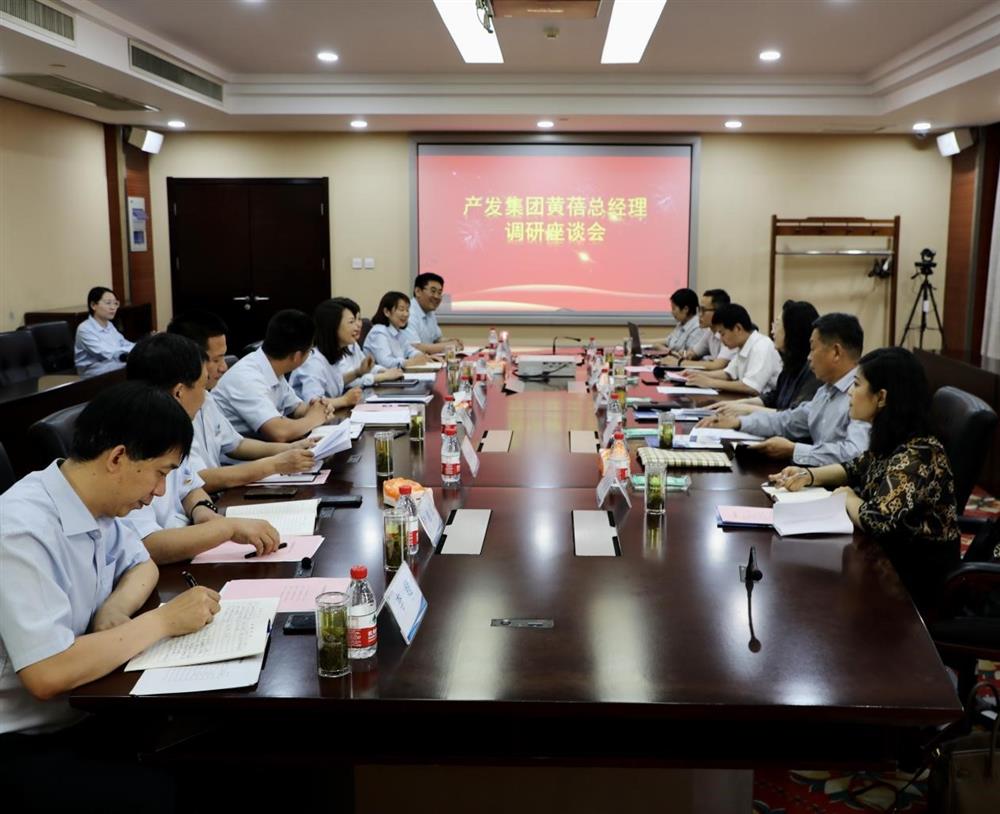 集團黨委副書記、總經理黃蓓帶隊調研濟南市工程咨詢院